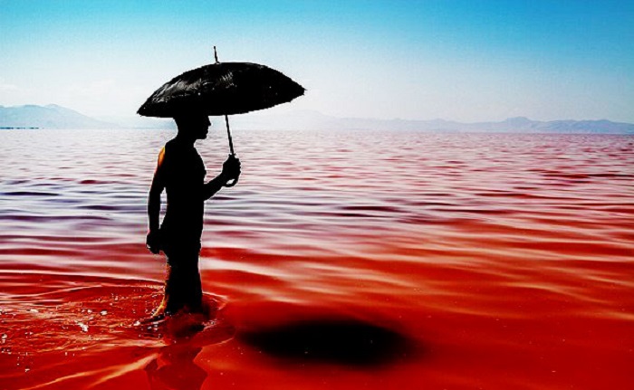 hiện tượng thủy triều đỏ
